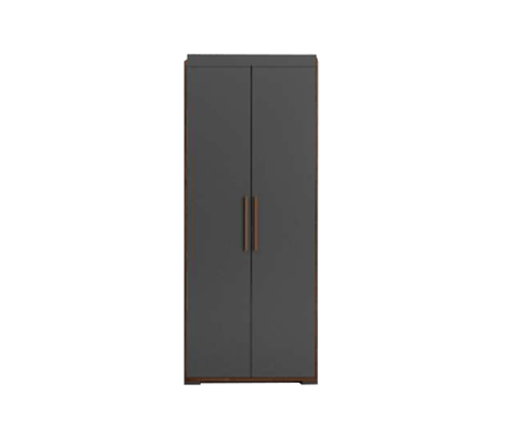 Alylla 2 Doors Wardrobe