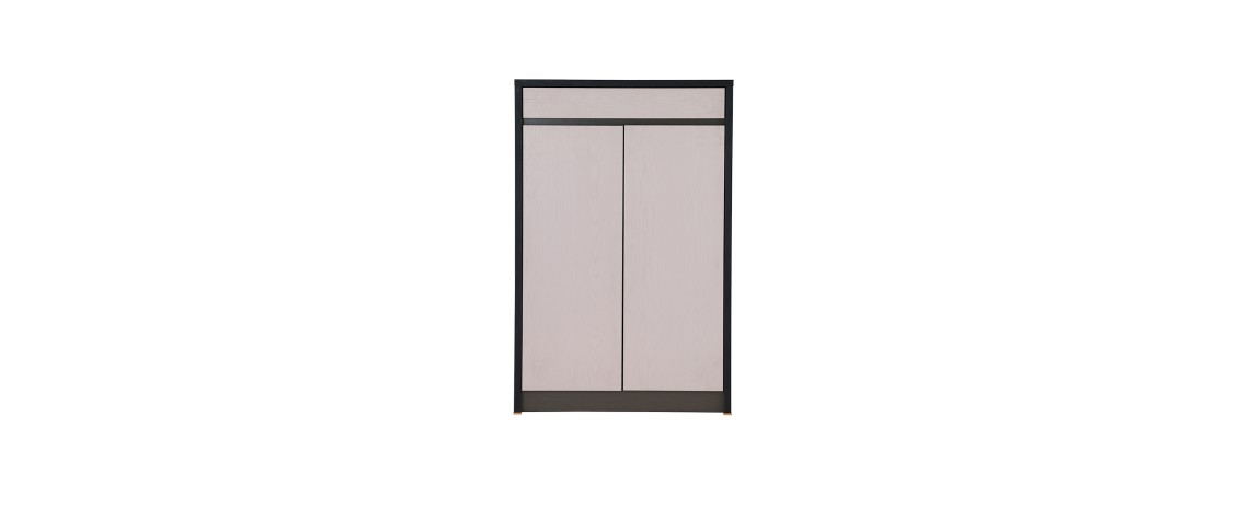 Habib 2 Door Shoe Cabinet