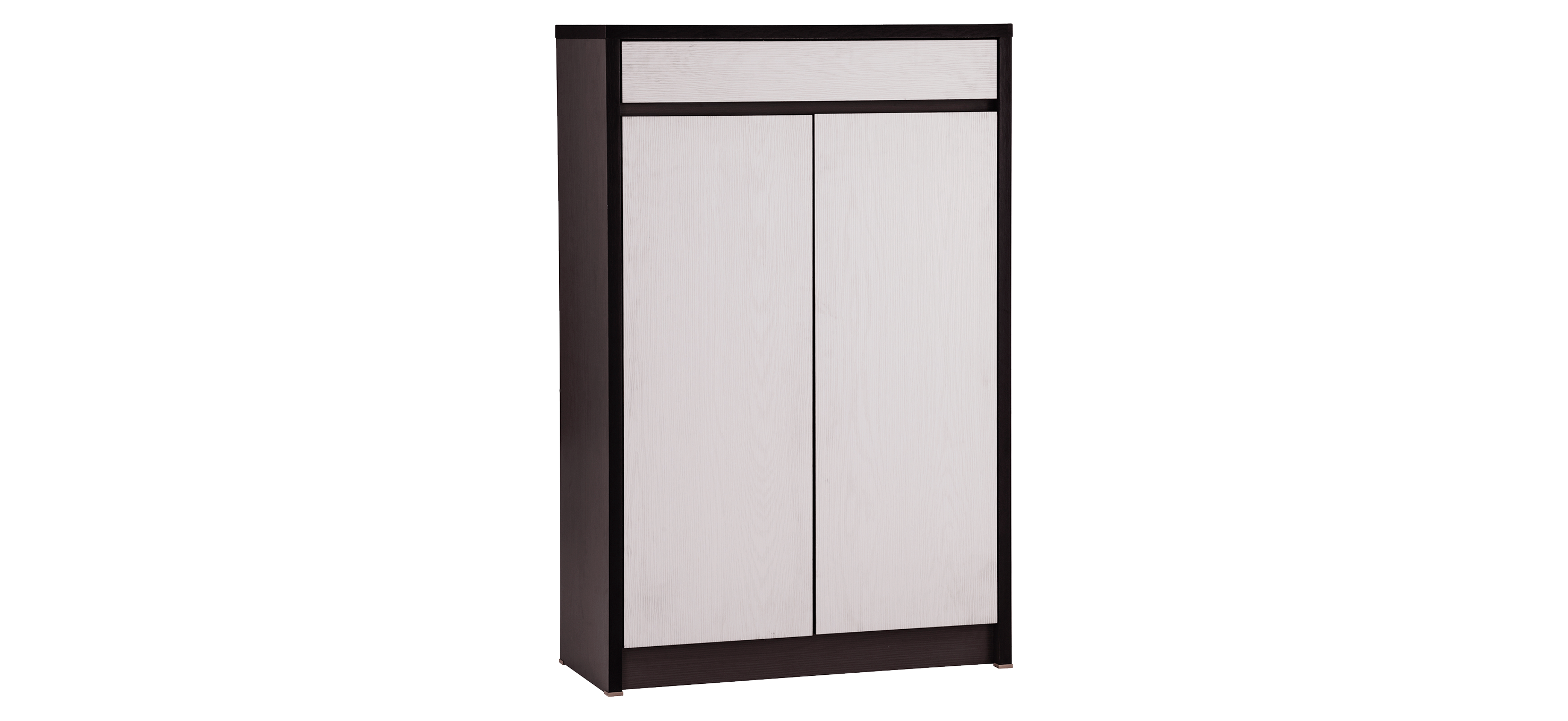 Habib 2 Door Shoe Cabinet