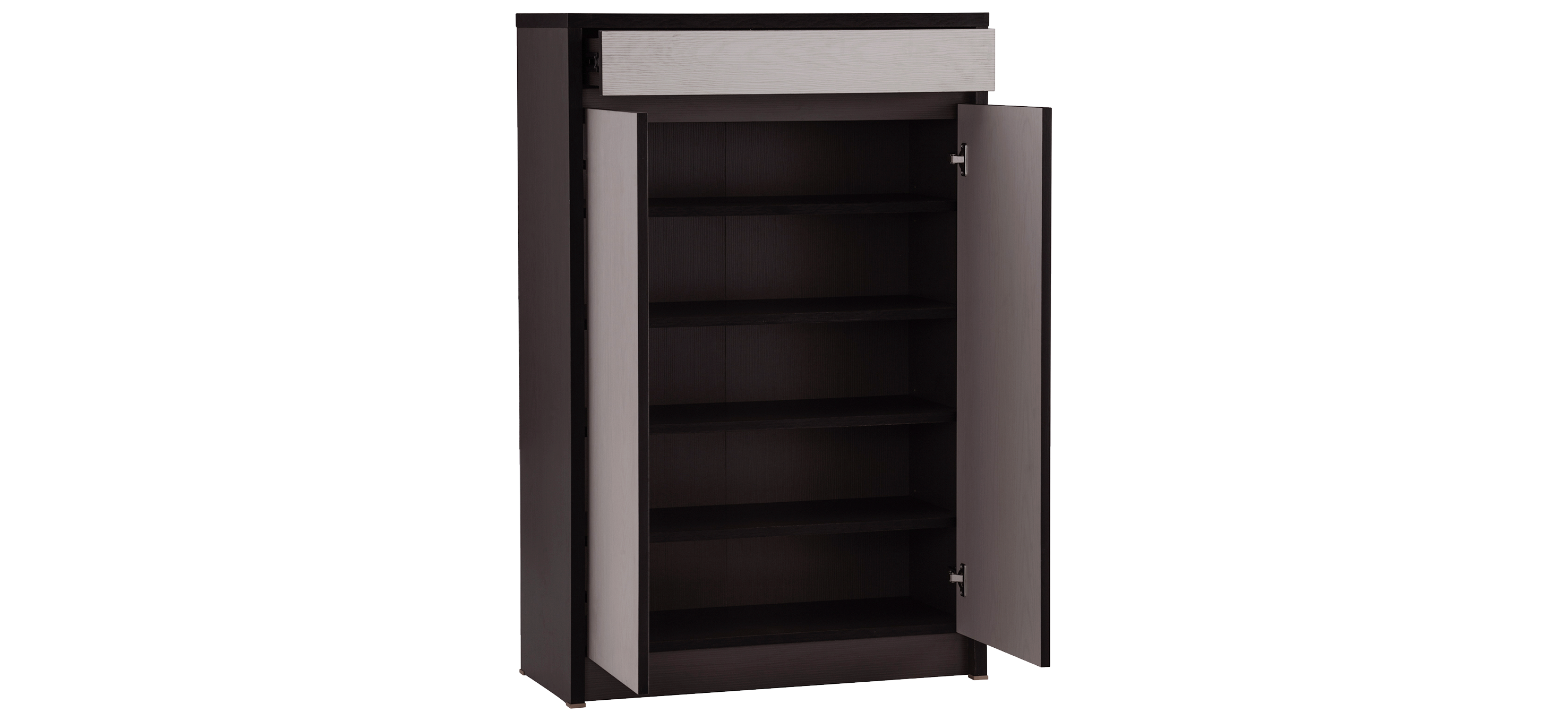 Habib 2 Door Shoe Cabinet